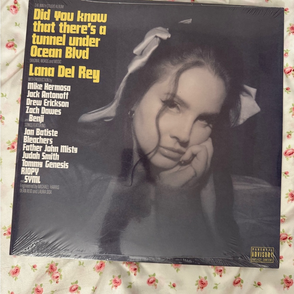 Did You Know that there’s a tunnel under Ocean Blvd Vinyl Lana del Rey